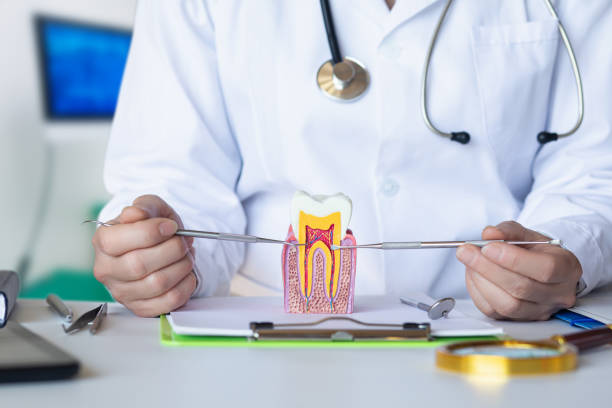 Best Emergency Dentist for Lost Fillings or Crowns in Port Oconnor, TX